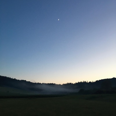 Feelings Before Summer - EP