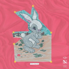 Don't Forget Me Dwyer