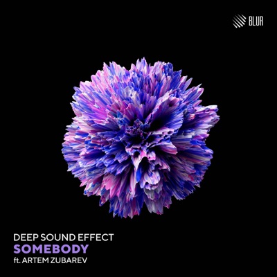 Somebody (feat. Artem Zubarev) - Single