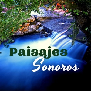 Paisajes Sonoros – Música de Relajación con Sonidos Ambientales