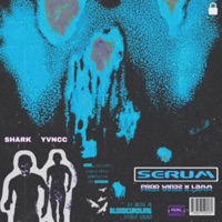 Serum - Single - Shark Breach & Yvncc
