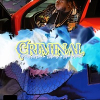 Criminal (feat. T-Moneyy & Marky Fresh) - Single - Wayne2Wild