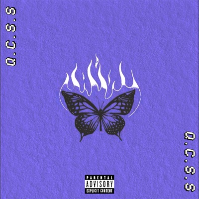 Q.C.S.S - Single