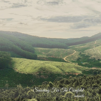 Searching For the Cornfield - Single