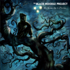 When the Stars Align, It Will Be Time... - The Black Noodle Project