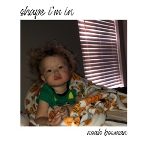 Shape I'm In - Single