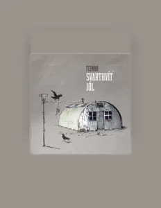 Listen to Teinar, watch music videos, read bio, see tour dates & more!