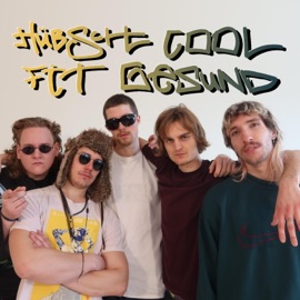 Hübsch Cool Fit Gesund (feat. MedizinMane, Dieser Adam, Arius, BeppiBoy & Free Dom) Gesundbande