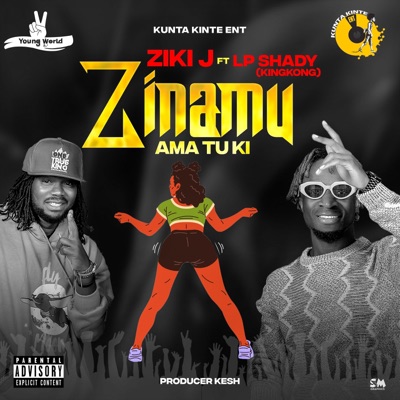 ZINAMU (AMA TU KI) (feat. LP SHADY) - Single