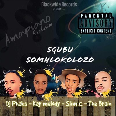 Sgubu Som'hlokolozo (feat. KayMelody, The Brain & Slim C) [Radio Edit] - Single