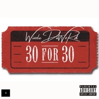 WzRdLnd: 30For30 - WizzleDaWzRd