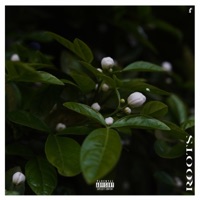 Roots (feat. Devin Tremell) - Single - Rize