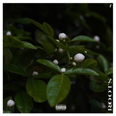 Roots (feat. Devin Tremell) - Single