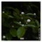 Roots (feat. Devin Tremell)