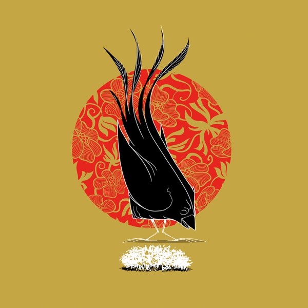 Herbs im Tee / Blind im Fokus - Single