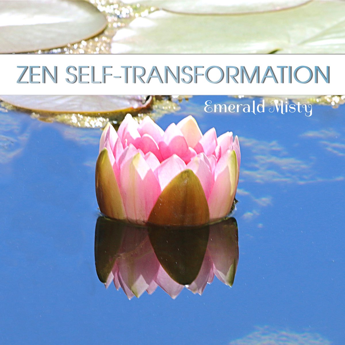 ‎zen Self-transformation: When Poison Becomes Medicine, Mindfulness 