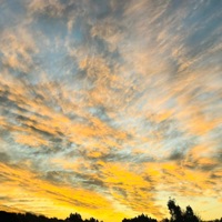 BLAME HIM/HER - Single - Navykidd