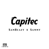 Capitec (feat. Sammy the Vocalist) artwork