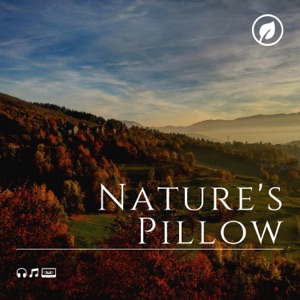 Nature's Pillow