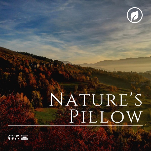 Nature's Pillow