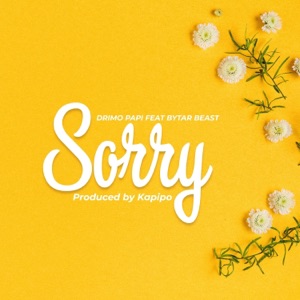 Sorry (feat. Bytar Beast)