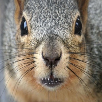 Droptop-top w 4fxrty/Keighlouw (p.keed.vinny) - Single