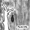 placide - Single