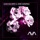 Lasse Macbeth & Josie Sandfeld-You Can't Save Me