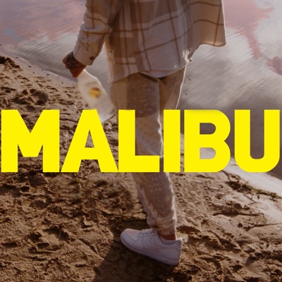 MALIBU (feat. Zebraodzawsze & MtZ) - Single