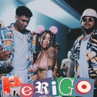 Perigo (feat. Tory Dru & Luccão) - Single - Brunão ZO