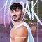 In the Dark - Hodak lyrics