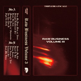 Memphis Bound (feat. SHADOWSTAR) TRIPLEBEATSCALE