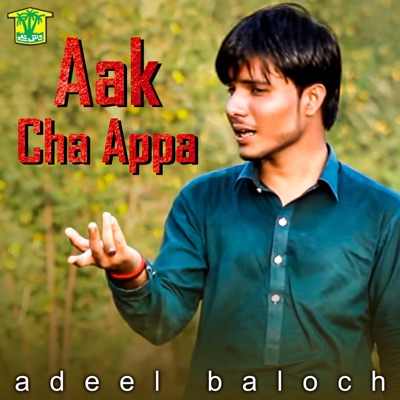 Adeel Baloch - Rawan Peer O Ziyaratan