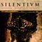 Flame Still Burns - Silentium lyrics