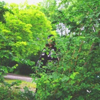 Saiko - Single - ERXN