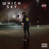 Which Sky - Single