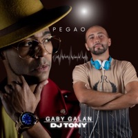 Pegao (feat. Dj Tony BFG) [Bachata Version] - Single - Gaby Galan