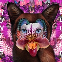 Hunter (Remix) - Single - Elusid