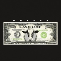 Cash Cow - Single - Spadez