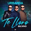 Te Lloro (En Vivo) - Single