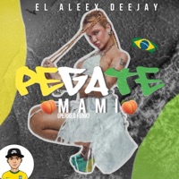 PEGATE MAMI (PERREO FUNK) - Single - El aleex deejay