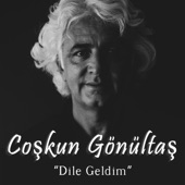 Dile Geldim artwork