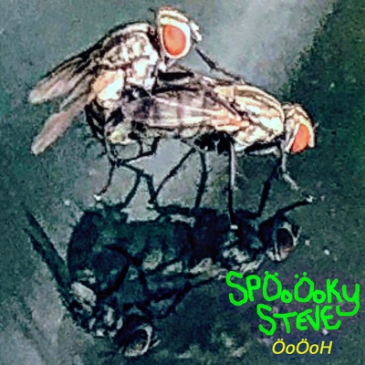 ÖoÖoH