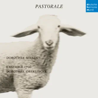 Scherzi Armonici sopra le quattro stagioni, L'Hyver: VI. Prestissimo. Laissons gronder les vents by Dorothee Oberlinger & Ensemble 1700 song reviws