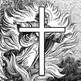 Self4Give Niqo de HGC