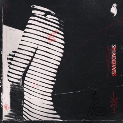 Shadows - Single