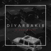 Diyarbakır artwork