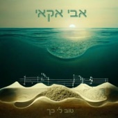 הכול לטובה artwork