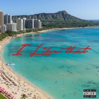 I Like That - Single - LavishMaar