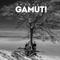 Puu - Single - Ensemble Gamut!